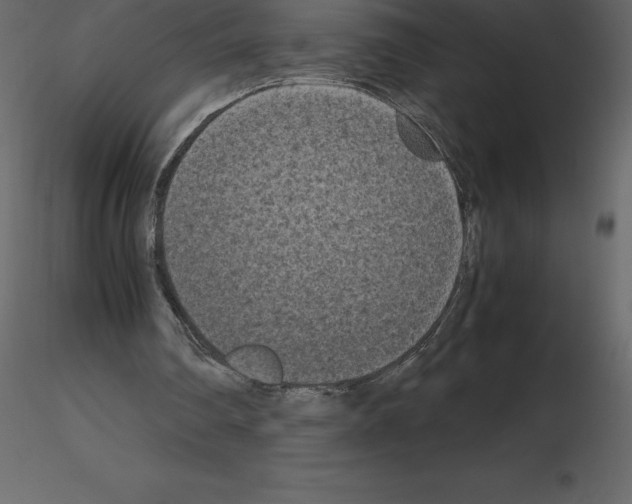 X0000115720290200912241610