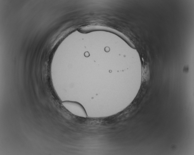 X0000115720291200912241610