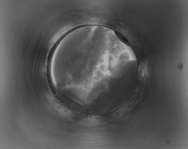 X0000115720292200912241610