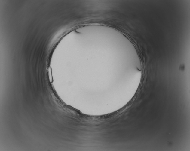X0000115720293200912241610