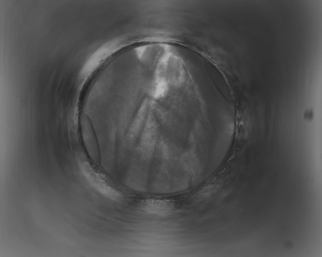 X0000115720296200912241610