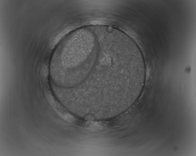 X0000115720297200912241610