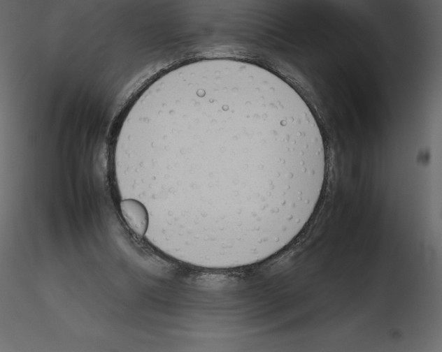 X0000115720298200912241610