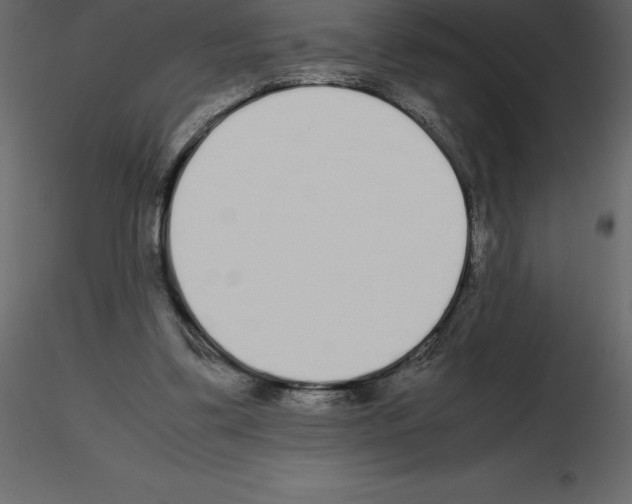 X0000115720299200912241610