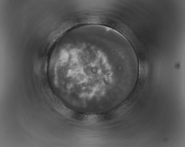 X0000115720301200912241610