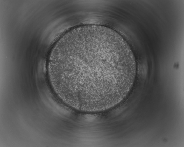 X0000115720302200912241610