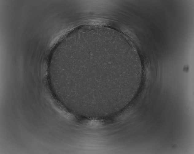 X0000115720303200912241610