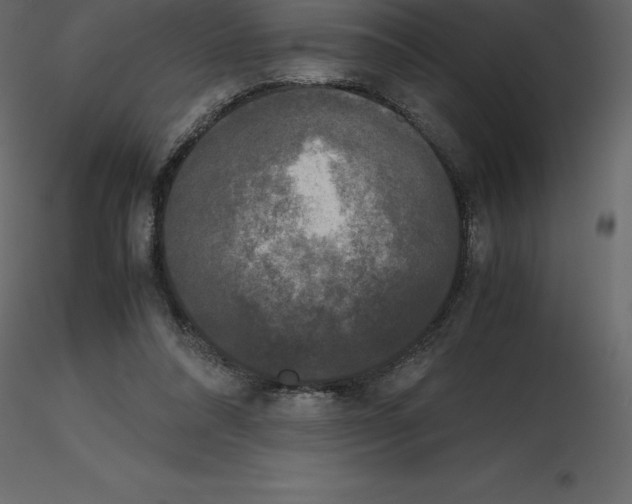 X0000115720304200912241610