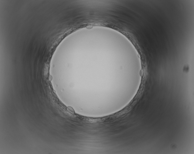 X0000115720305200912241610