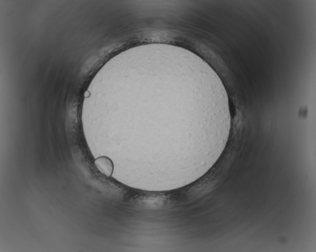 X0000115720306200912241610