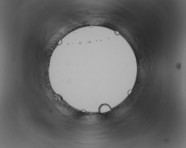 X0000115720307200912241610