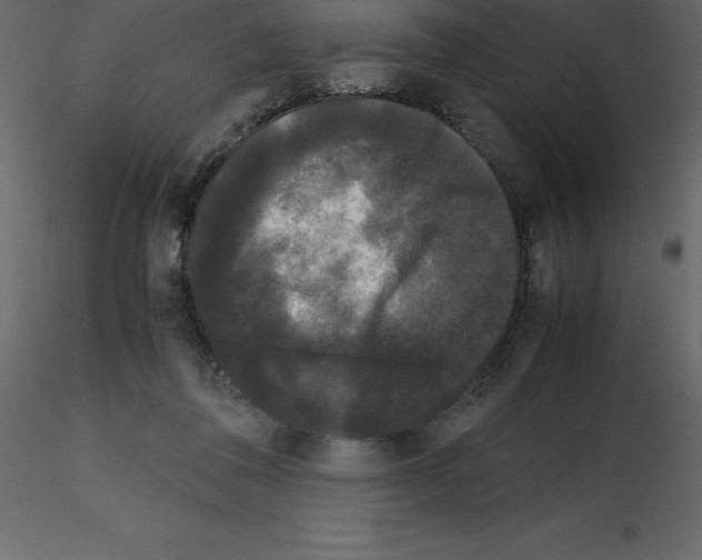 X0000115720308200912241610