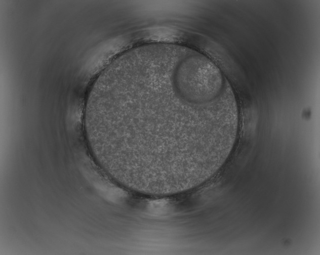 X0000115720309200912241610