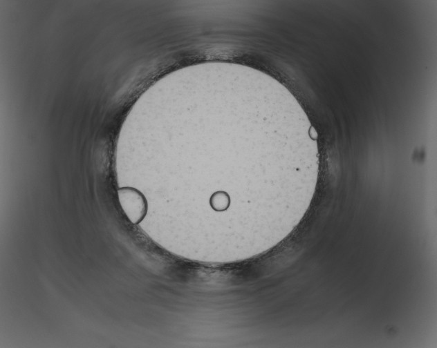 X0000115720311200912241610