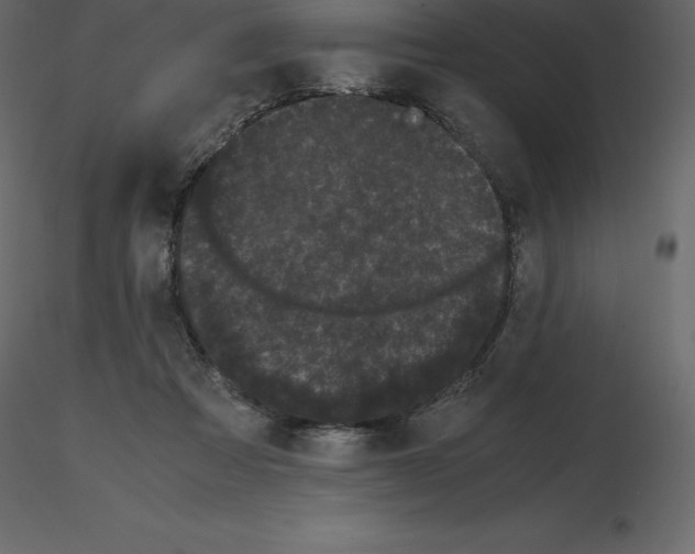 X0000115720313200912241610