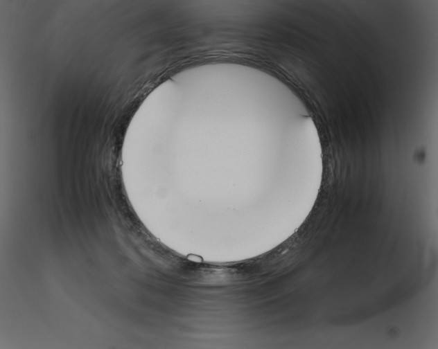 X0000115720316200912241610