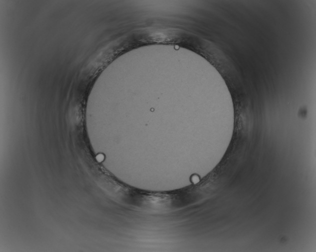 X0000115720317200912241610