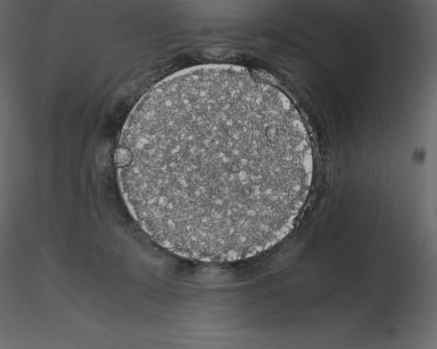 X0000115720319200912241610