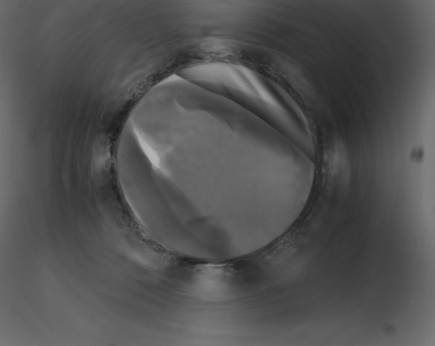 X0000115720320200912241610