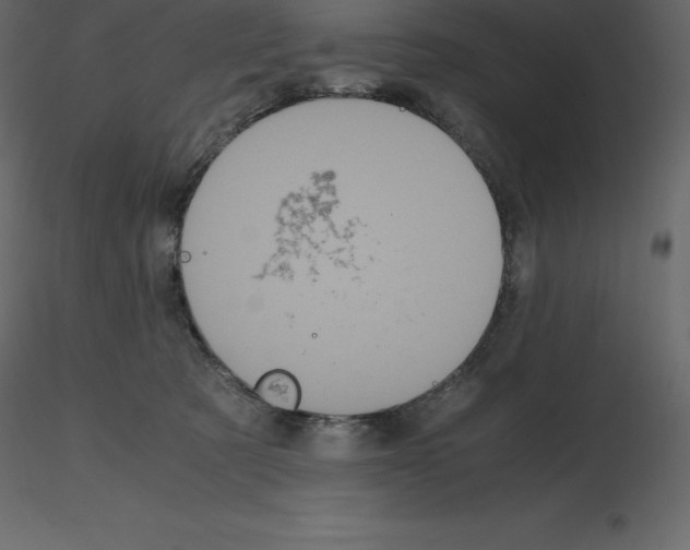 X0000115720321200912241610