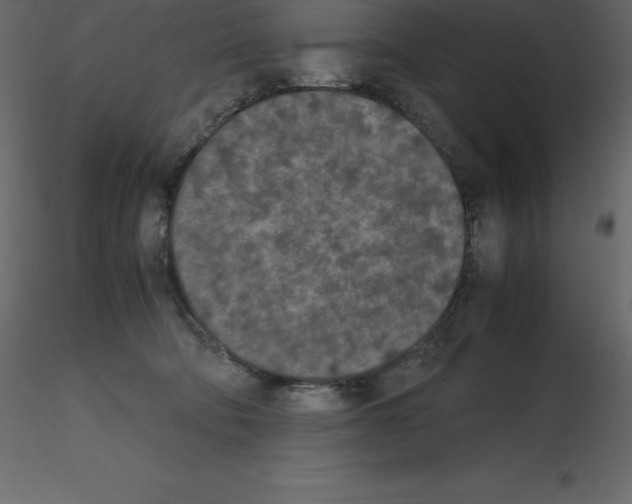 X0000115720322200912241610