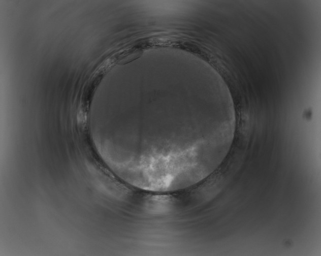 X0000115720324200912241610