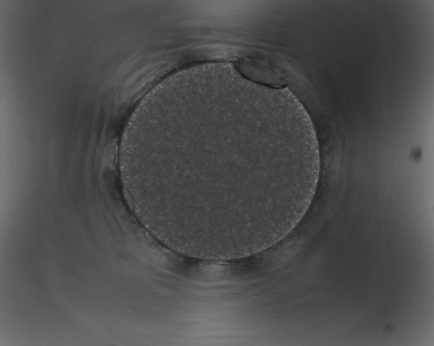 X0000115720325200912241610