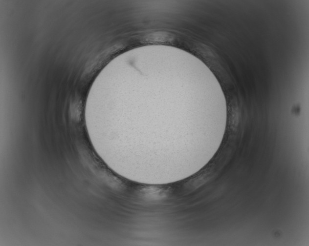 X0000115720326200912241610