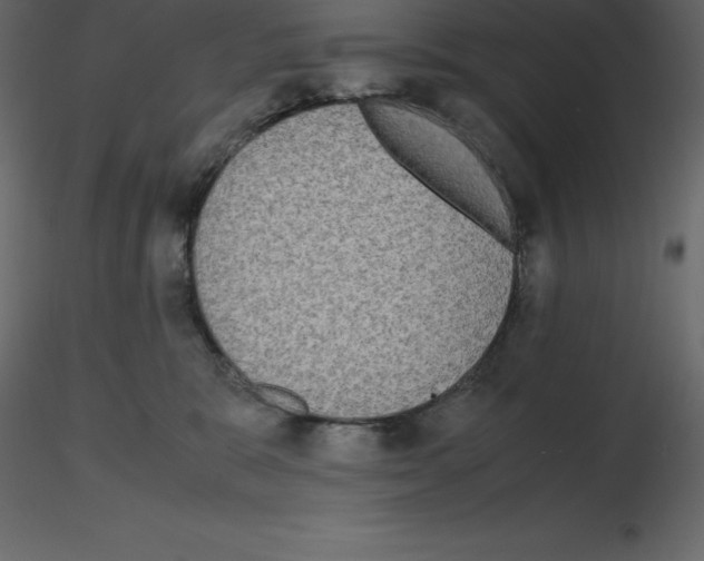X0000115720327200912241610