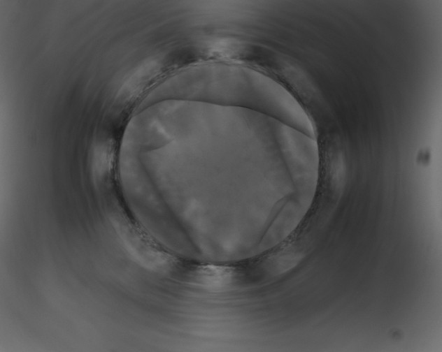 X0000115720328200912241610