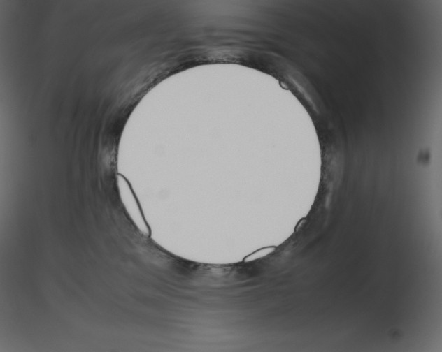 X0000115720329200912241610