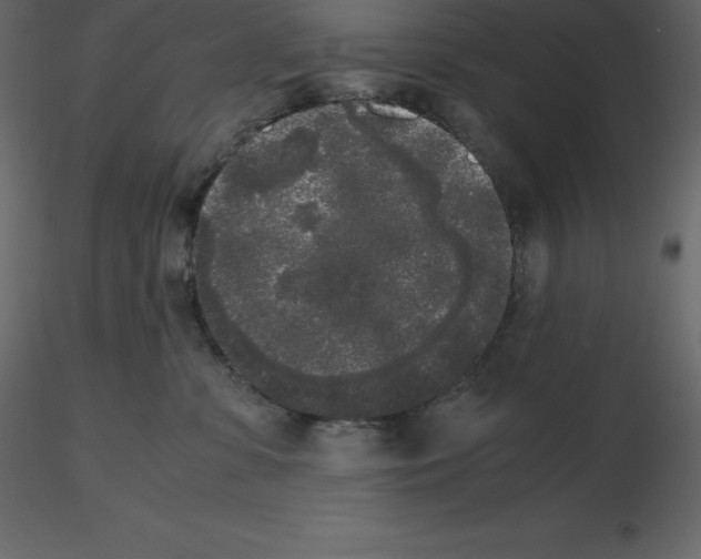 X0000115720331200912241610