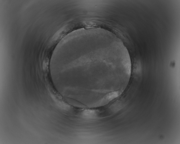 X0000115720332200912241610