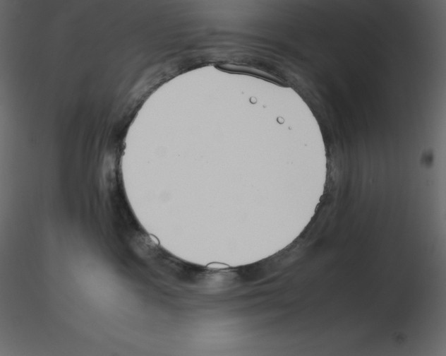 X0000115720333200912241610