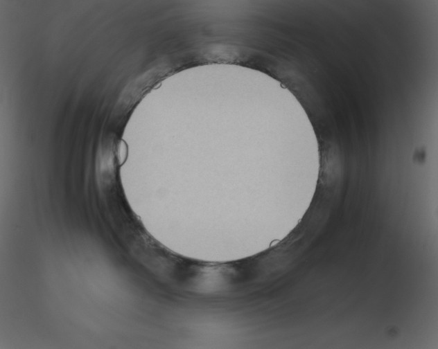 X0000115720334200912241610