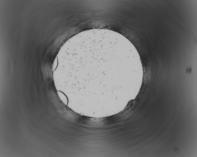 X0000115720335200912241610