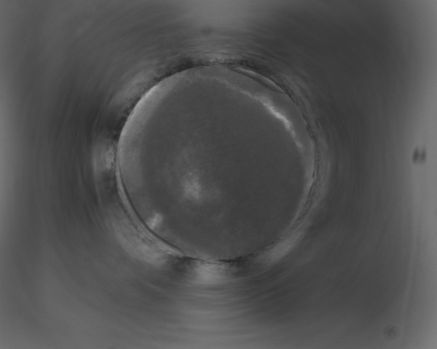 X0000115720336200912241610