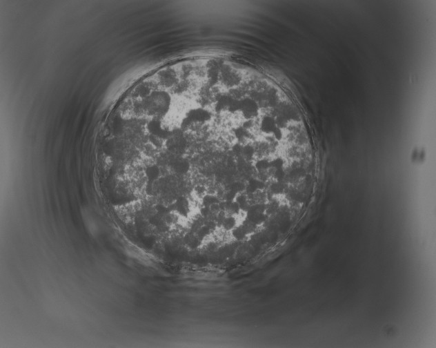 X0000115720337200912241609