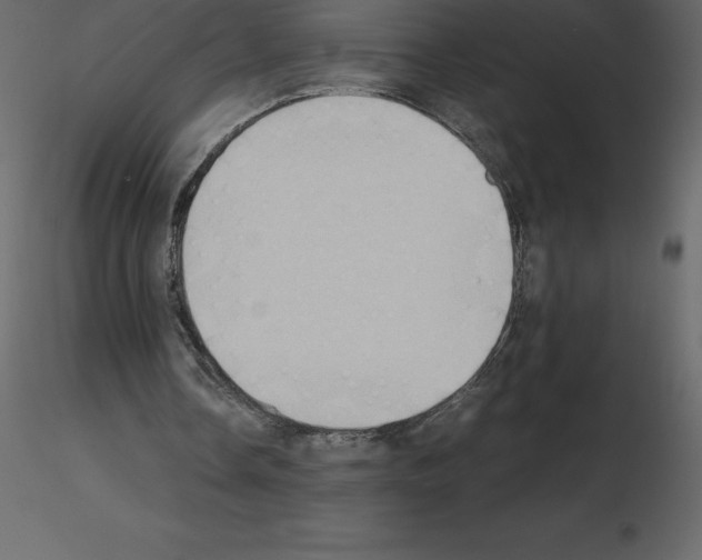 X0000115720338200912241609