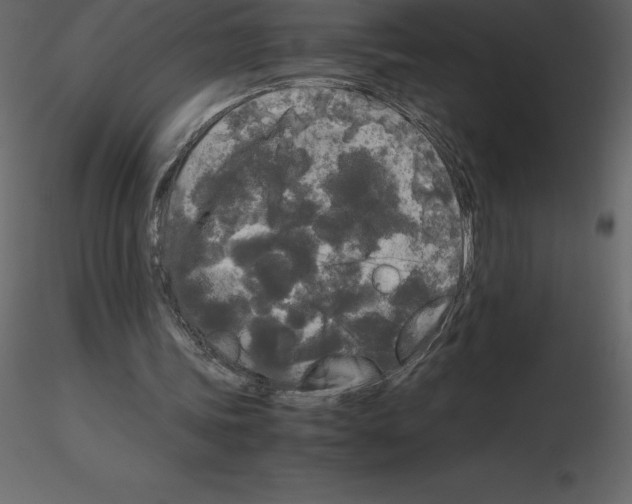 X0000115720339200912241609