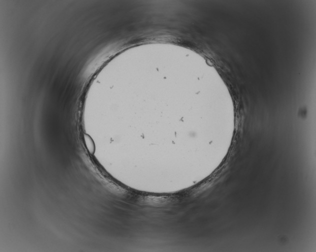 X0000115720341200912241609