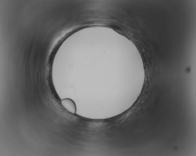 X0000115720342200912241609