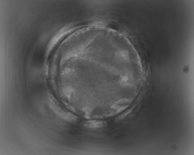 X0000115720343200912241609