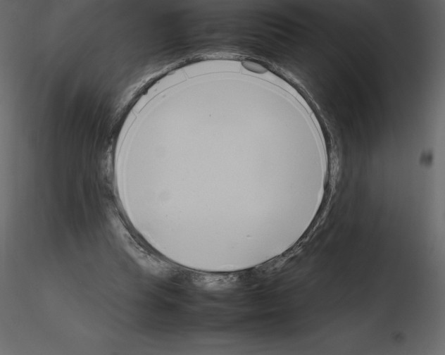 X0000115720345200912241609