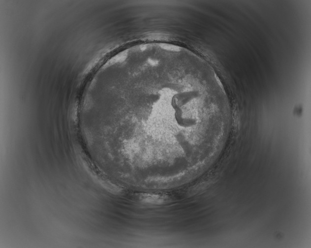 X0000115720347200912241609