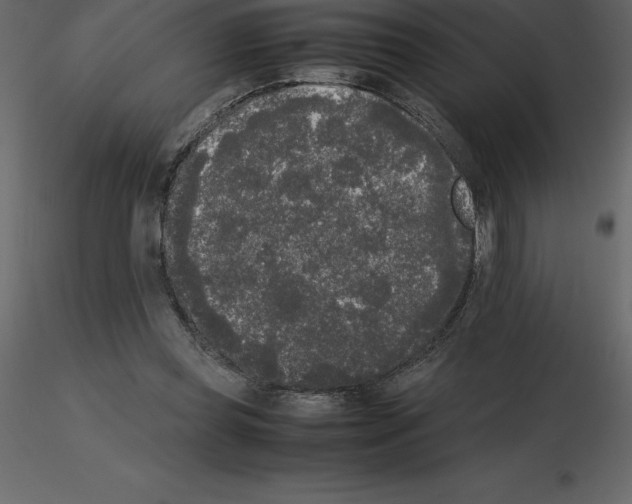 X0000115720349200912241609