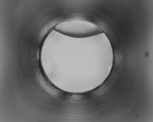 X0000115720350200912241609