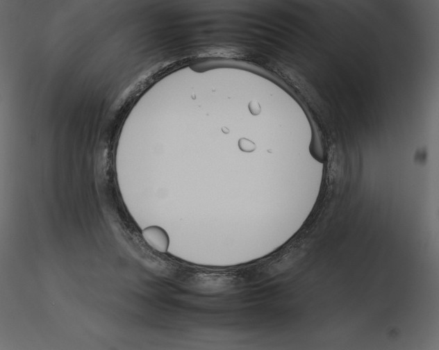 X0000115720351200912241609