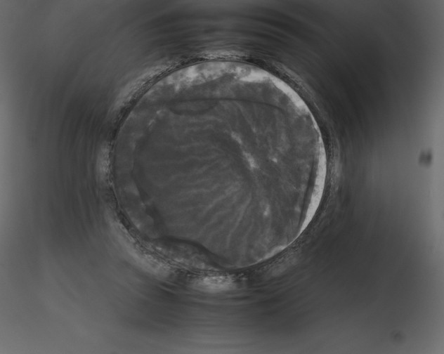X0000115720353200912241609