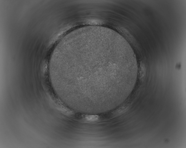 X0000115720355200912241609